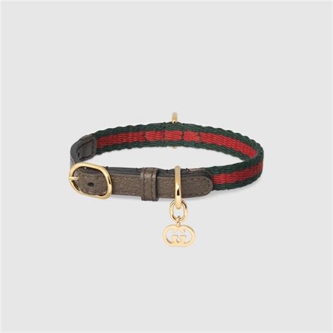 gucci stuffed animal|luxury gucci cat collar.